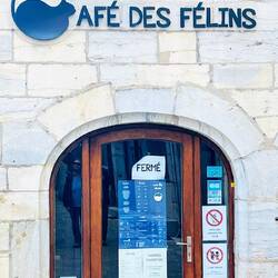 El café de los gatos