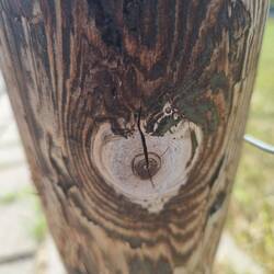 Ein Herz im Holzpfosten💖