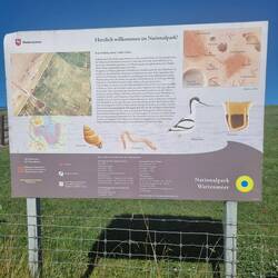 Das alles hats im Wattenmeer