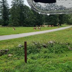 ...aber in der Schweiz ist das Wetter leider auch nicht besser