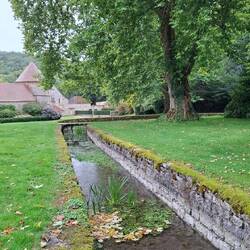 Früher Klostergarten, heute wildromantischer Park