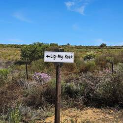 Not sure what this is all about 🤣🤣