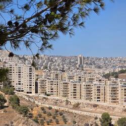 Judea Hills of Bethlehem