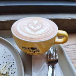 Main travel expenses: transport, lodging and coffee