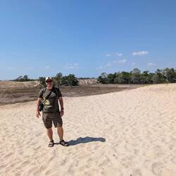 Wydmy na skraju lasu