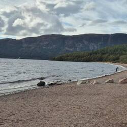The beach