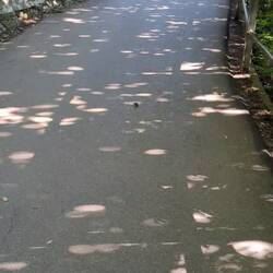 Wie süß ist diese Minimaus bitte?