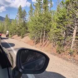 Scheinbar vollkommen harmlos ...