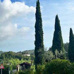 Auf nach Florenz mit dem Bus