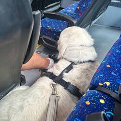 Jaimy hat Stress 😥