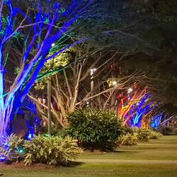 Cairns' Strandpromenade bei Nacht