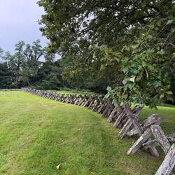 Alte Zäune