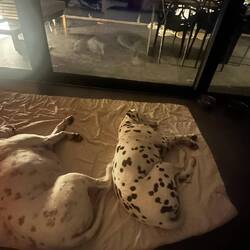 Die Jungs sind happy