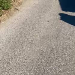 Was für ein Spaß 🤩