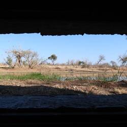 Looking out of the hide