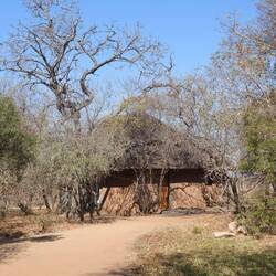 Our hut