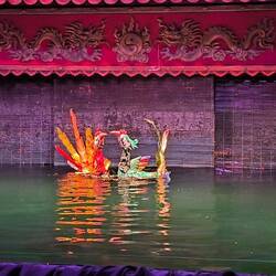 Phoenix..., hier ein Vogelpaar 💕