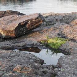 Tide pool? No, rain water collects in the rock pools
