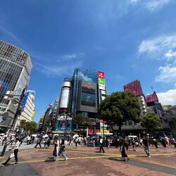 Shibuya Crossing