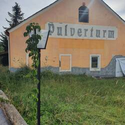 Die Natur erobert ein Haus