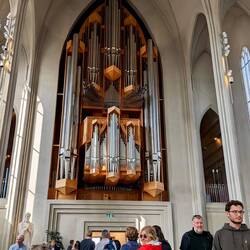 The largest organ in Iceland