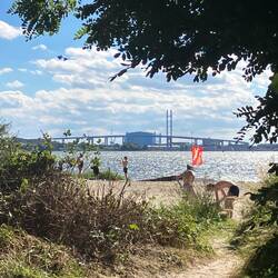 Spazier zum Strand vor dem Camp, mit Blick auf Stralesund und Brücke aufs Festlsnd