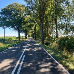 Schnurgerade Strassen in Richtung Insel-Südwesten