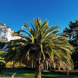 Park in Pau