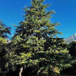 Park in Pau