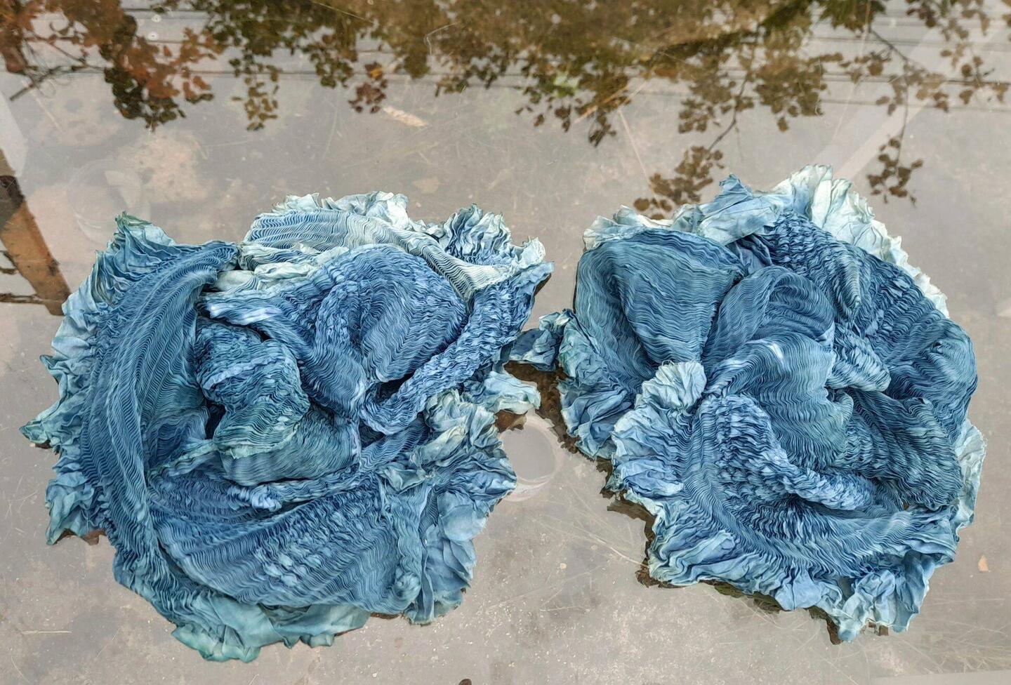Les tournesols bleu