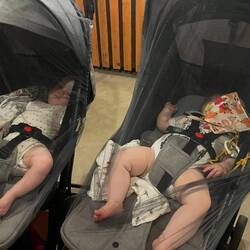 Fix und Foxi im Abendlokal