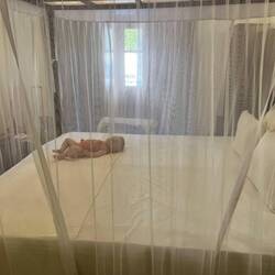 Prinzessin auf der Erbse