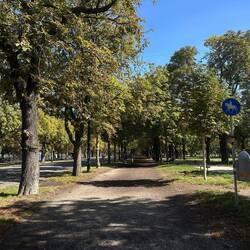 Reitwege mitten in Wien