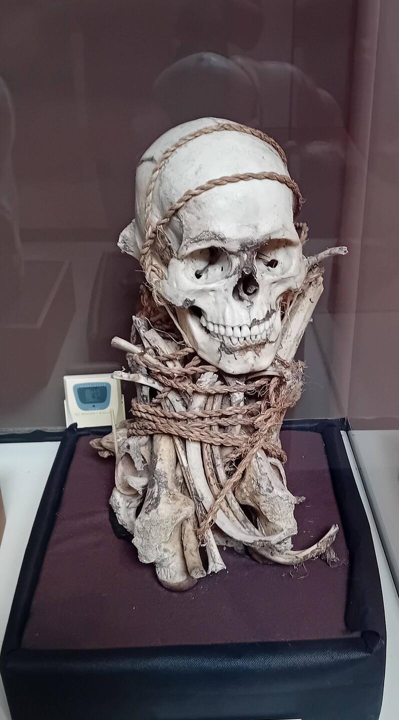 Skull, hair and assorted bones of a young Chachapoya man tied with vegetal rope