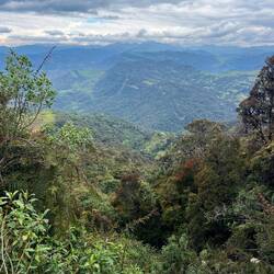 Meditation at the rhythm of pedals and changes of views...