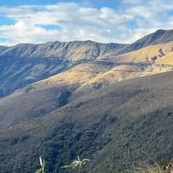 It brightens a little behind us