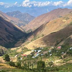 A little settlement in a patch of green