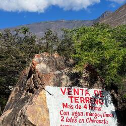 Lemons, mangos and water included if you buy this land