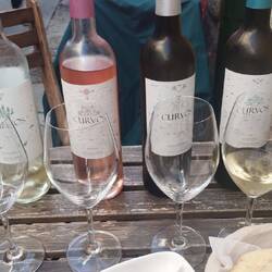 Vinho Verde Tasting