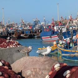 Am Hafen