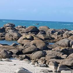 Wer sieht den Hasen?