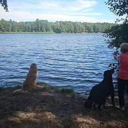 Imko läuft übers Wasser