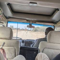 Kenianischi Strassesperri, usserhalb vom Amboseli Nationaupark