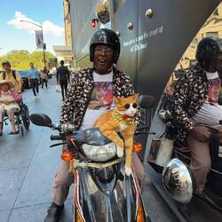 Die Katze war wirklich echt😅😹