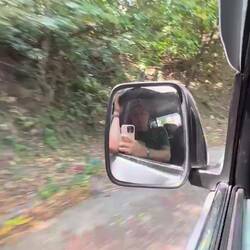 Noch mehr Affen neben der Straße!