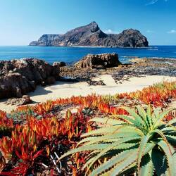 Porto Santo mit seinem goldenen Strand!