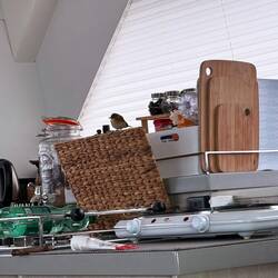 Ein kleiner Vogel auf dem weiten Ozean zum ausruhen bei uns...😅