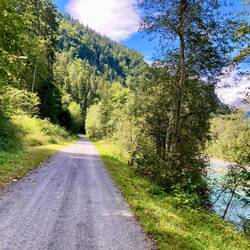 Radweg dem Rhein entlang