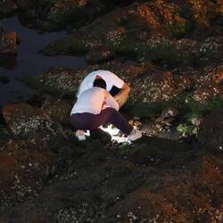 Suche nach Meeresfrüchten / Looking for sea food