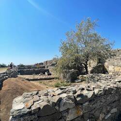 W tle widać ekipę archeologiczną